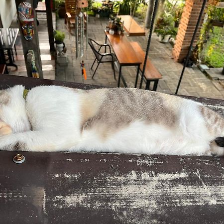 ครูหนูบ้านพัก แหลมงอบ Krunou Baanpak Trat Exteriör bild