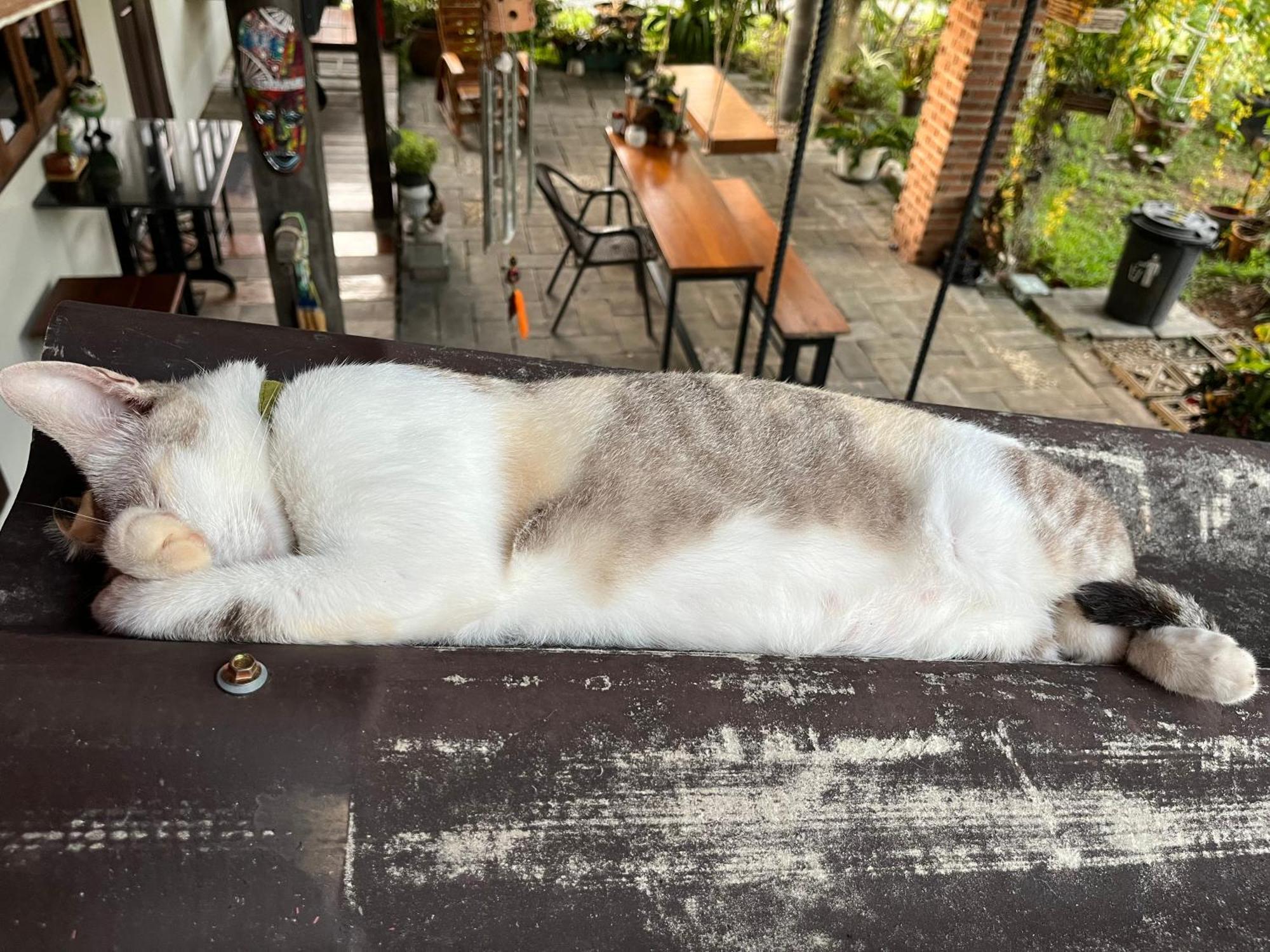 ครูหนูบ้านพัก แหลมงอบ Krunou Baanpak Trat Exteriör bild