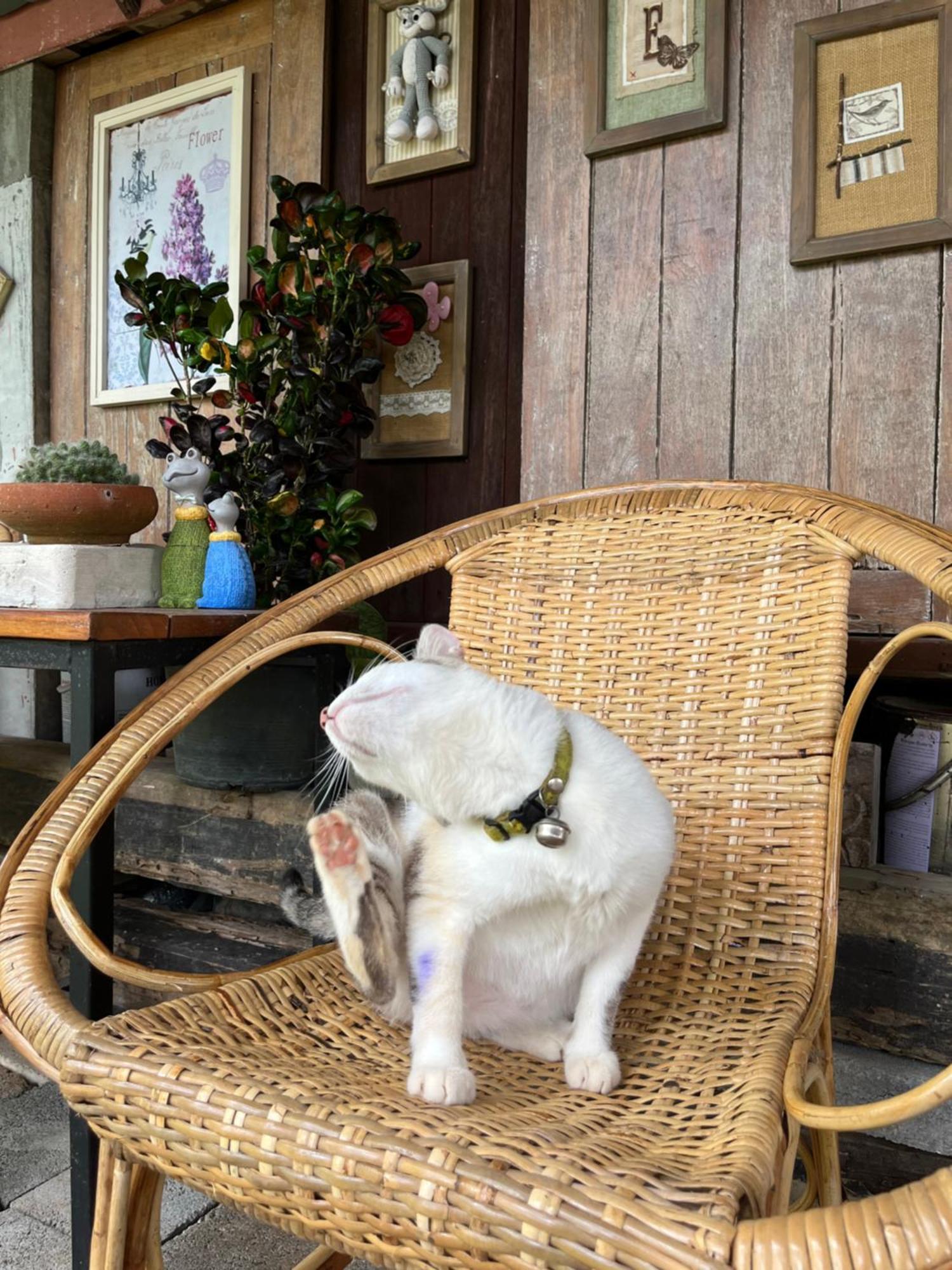 ครูหนูบ้านพัก แหลมงอบ Krunou Baanpak Trat Exteriör bild