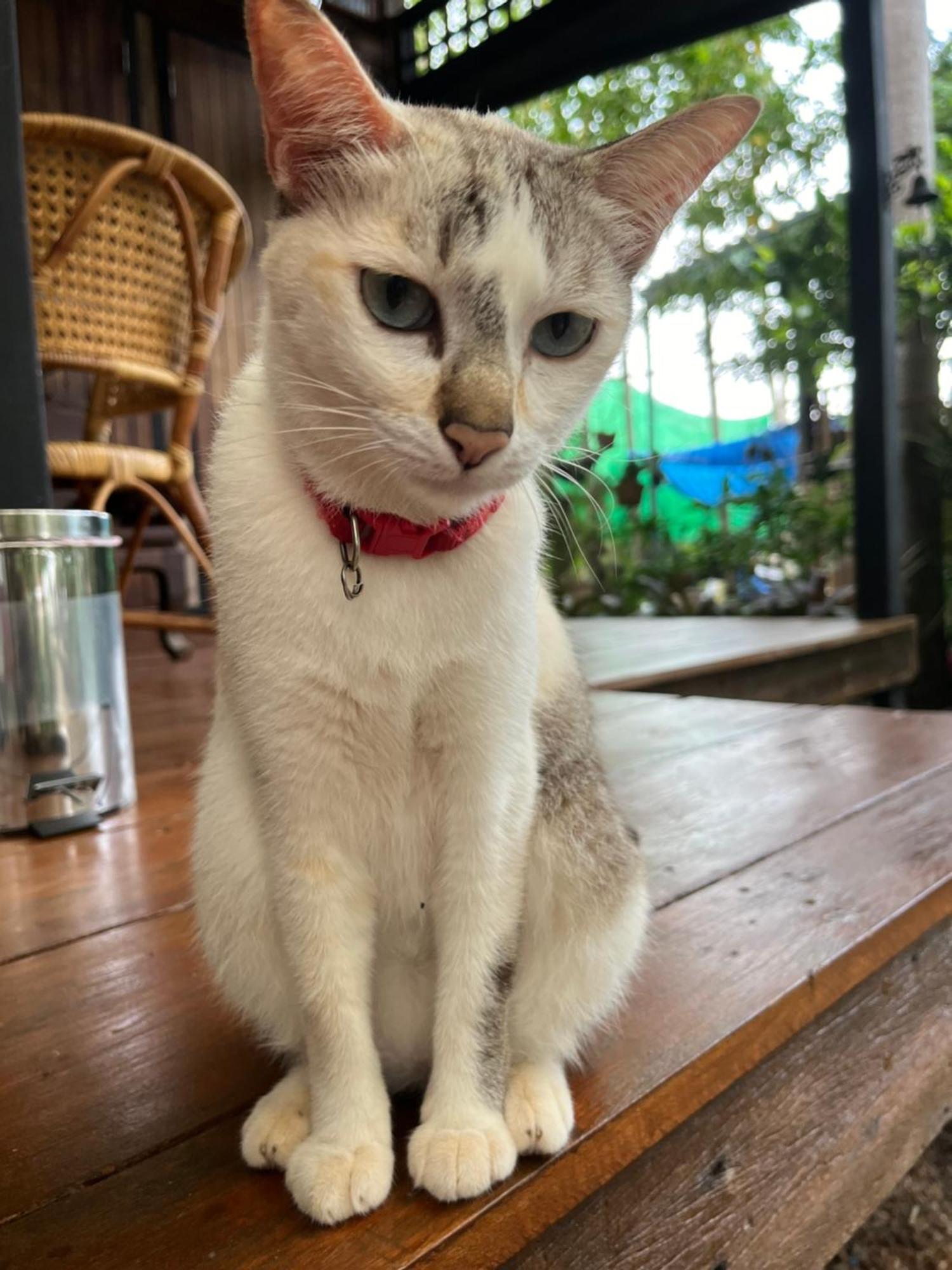 ครูหนูบ้านพัก แหลมงอบ Krunou Baanpak Trat Exteriör bild